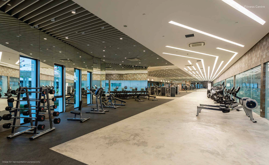 Gymnasium